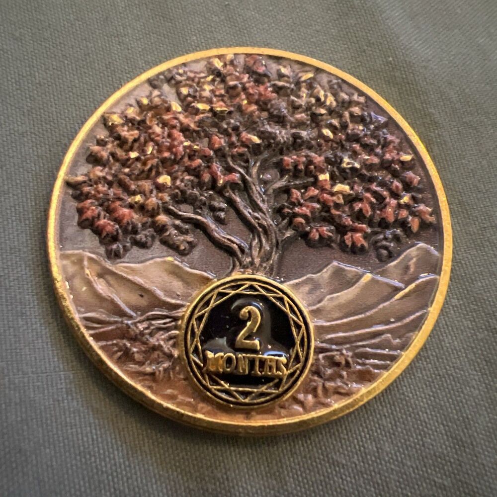 2 Months Tree AA NA Sobriety Coin Recovery Chip Sober Anniversary Token